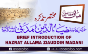 مختصر تذکرہ حضرتِ سیدنا ضیاء الدین مدنی