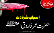 اَسبابِ شہادت حضرت عمر فاروقِ اعظم