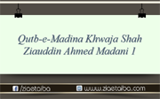 قطب مدینہ ضیاء المشائخ حضرت علامہ شیخ  ضیاءالدین احمد مدنی 