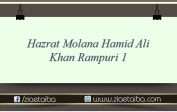 حضرت مولانا حامد علی خان رامپوری 