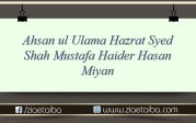 احسن العلماء سراج العقباء حضرت سید شاہ مصطفی حیدر حسن میاں برکاتی قادری مارہروی