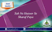 سب نے حضور صلی اللہ علیہ وسلم سے شرف پایا