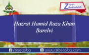 لاہور میں دولہا بنا حامد رضا حامد رضا