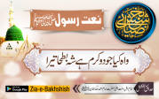 واہ کیا جودوکرم ہےشہ بطحا تیرا