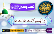 ہر ایک یہ کہتا ہے ہمارا ہے ہمارا