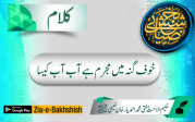 خوف گنہ میں مجرم ہے آب آب کیسا
