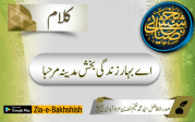 اے بہار زندگی بخش مدینہ مرحبا