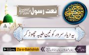 یہ دیار سرور کونین طیبہ چھوڑ کر