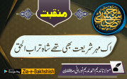 اک مہر شریعت بھی تھے شاہ تراب الحق