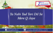 یا نبی یاد تری دل سے مرے کیوں جائے