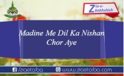 مدینے میں دل کا نشاں چھوڑ آئے