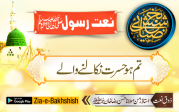 تم ہو حسرت نکالنے والے
