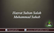 حضرت سلطان صالح محمد