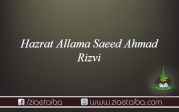 حضرت علامہ سعید احمد رضوی