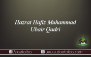 حضرت حافظ محمد عبیر قادری