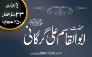ابو القاسم علی گرگانی