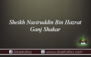 حضرت شیخ نصیر الدین بن حضرت گنج شکر