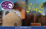 ابو بکر شبلی، مجدد اسلام شیخ