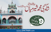 حضرت حاجی شاہ جی محمد شیر میاں صاحب (پیلی بھیت)