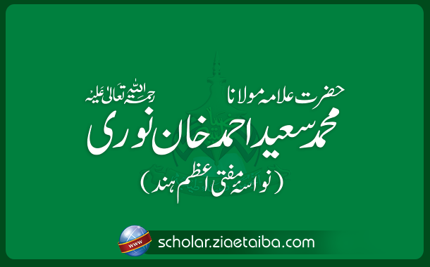 مولانا حافظ سعید احمد قادری