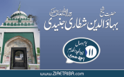  بہاء الدین شطاری جنیدی