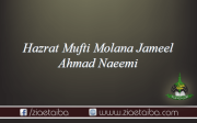 حضرت علامہ جمیل احمد نعیمی ضیائی