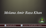 مولانا عامر رضا خان