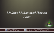  مولانا محمد حسن فیضی