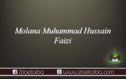 مولانا محمد حسین فیضی 
