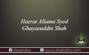 حضرت علامہ سید غیاث الدین شاہ صاحب(غزنی)