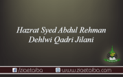 سید عبدالرحمن دہلوی قادری  جیلانی