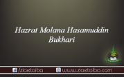 مولانا حسام الدین بخاری