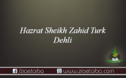 حضرت شیخ زاہد ترک دہلی 