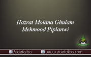حضرت مولانا غلام محمود پپلانوی
