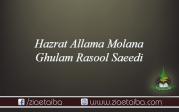 حضرت فاضل جلیل حضرت  مولانا غلام رسول سعیدی کراچی