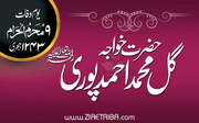 خواجہ گل محمد احمد پوری چشتی