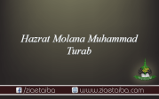 حضرت مولانا محمد تراب علی امروہوی