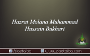 حضرت مولانا محمد حسین بخاری
