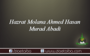 حضرت مولانا احمد  حسن مراد آبادی