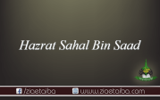 حضرت سہل بن سعد 