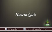 حضرت قیس