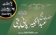 حضرت شیخ عبدالکبیر پانی پتی