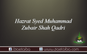 حضرت علامہ سید محمد زبیر شاہ قادری