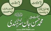 حضرت پیر محمد حسن جان سرہندی مجددی علیہ الرحمۃ