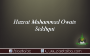 حضرت محمد اویس صدیقی