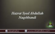 حضرت سید عبد اللہ نقشبندی