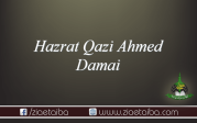 حضرت قاضی احمد دمائی
