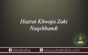حضرت زکی نقشبندی