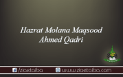 حضرت علامہ  مولانا مقصود احمد قادری