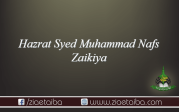 حضرت سید محمد نفس ذکیہ
